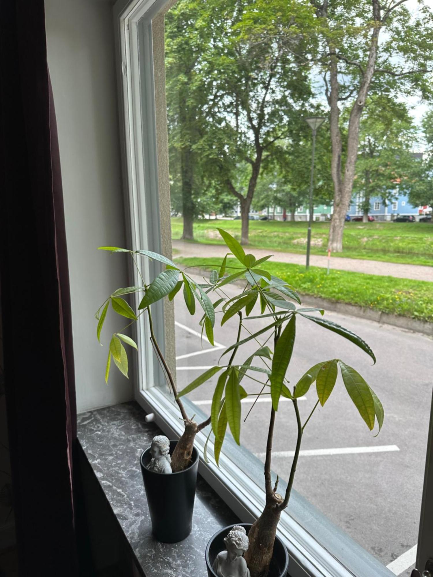 Pråmkanalens Pensionat i Karlstad Bagian luar foto